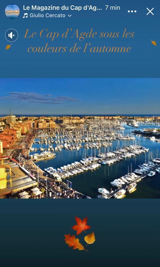 Studio La Grande Roue Vue Magnifique Agde Exterior photo